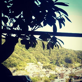 IMG_20130819_170716.jpg